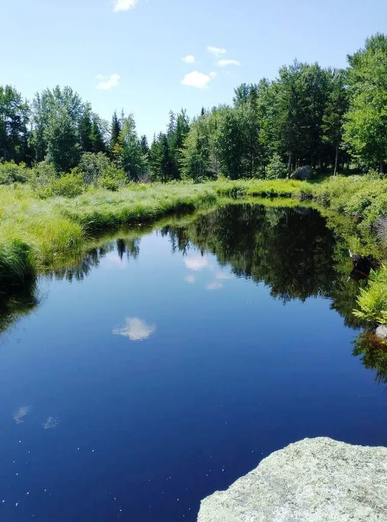 52 Woods Edge Lane Franklin ME 04634