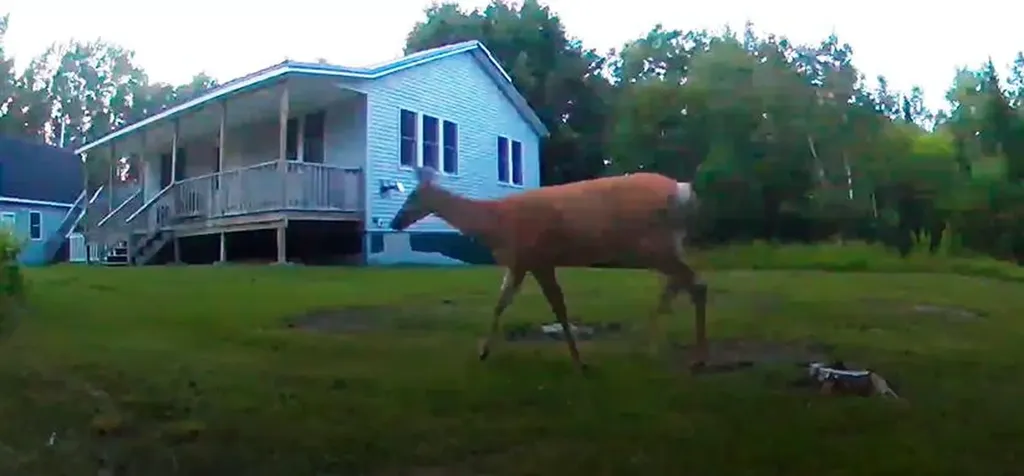 52 Woods Edge Lane Franklin ME 04634