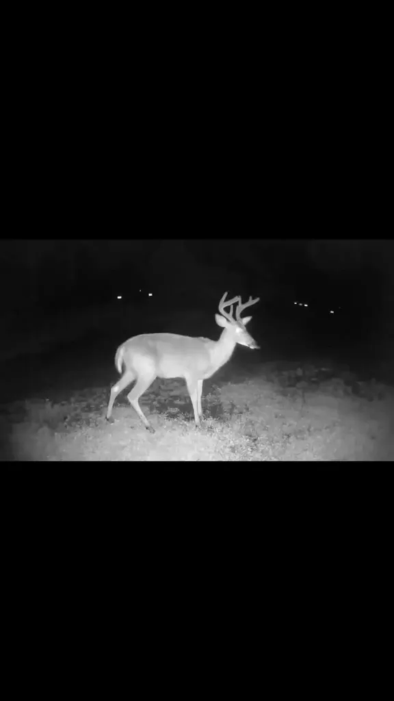52 Woods Edge Lane Franklin ME 04634