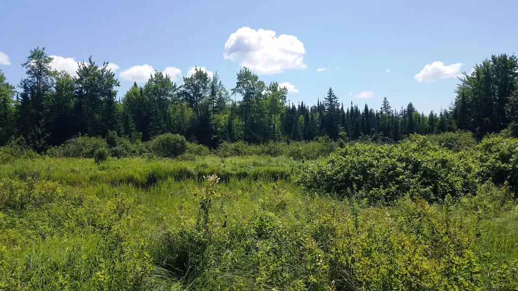 52 Woods Edge Lane Franklin ME 04634