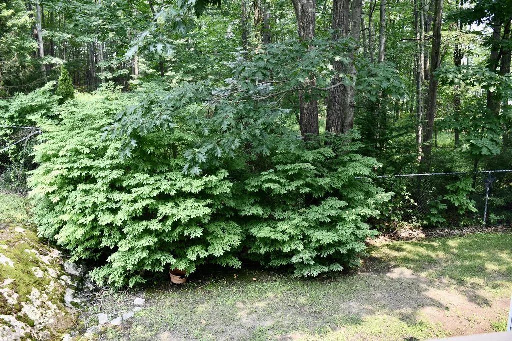 56 Ashley Lane Portland ME 04103