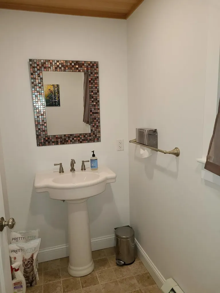 1109 Great Moose Drive Hartland ME 04943