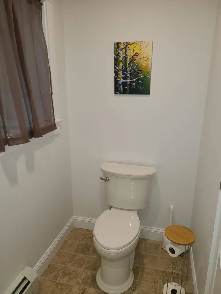 1109 Great Moose Drive Hartland ME 04943