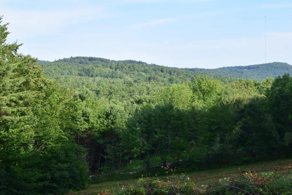180 Hogfat Hill Road Sebago ME 04029