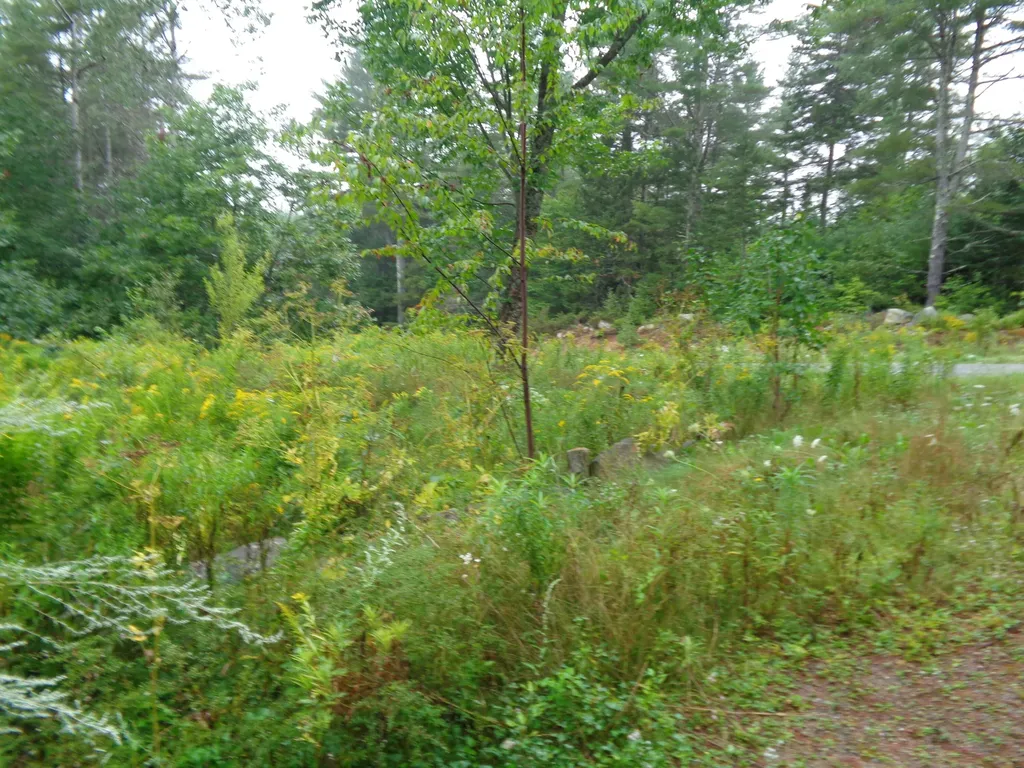 288 George Road Prospect ME 04981