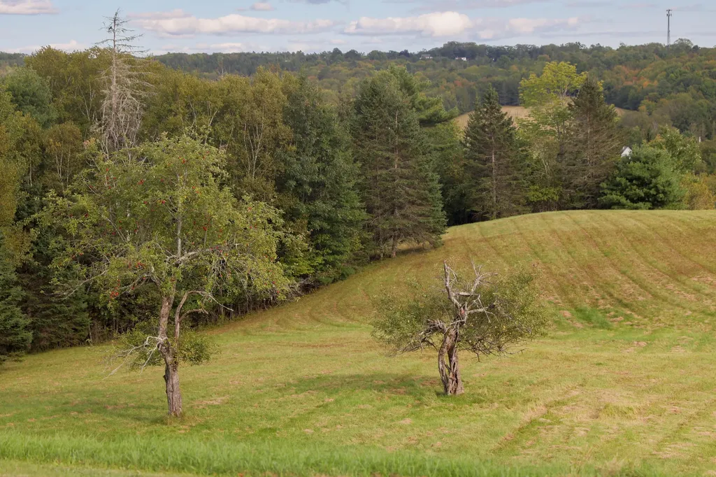 235 State Route 46 Bucksport ME 04416