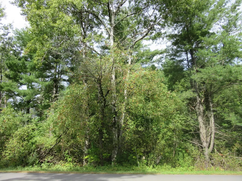 86 Fields Pond Road Orrington ME 04474