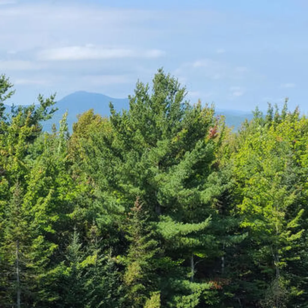 127 Vista Lane Farmington ME 04938