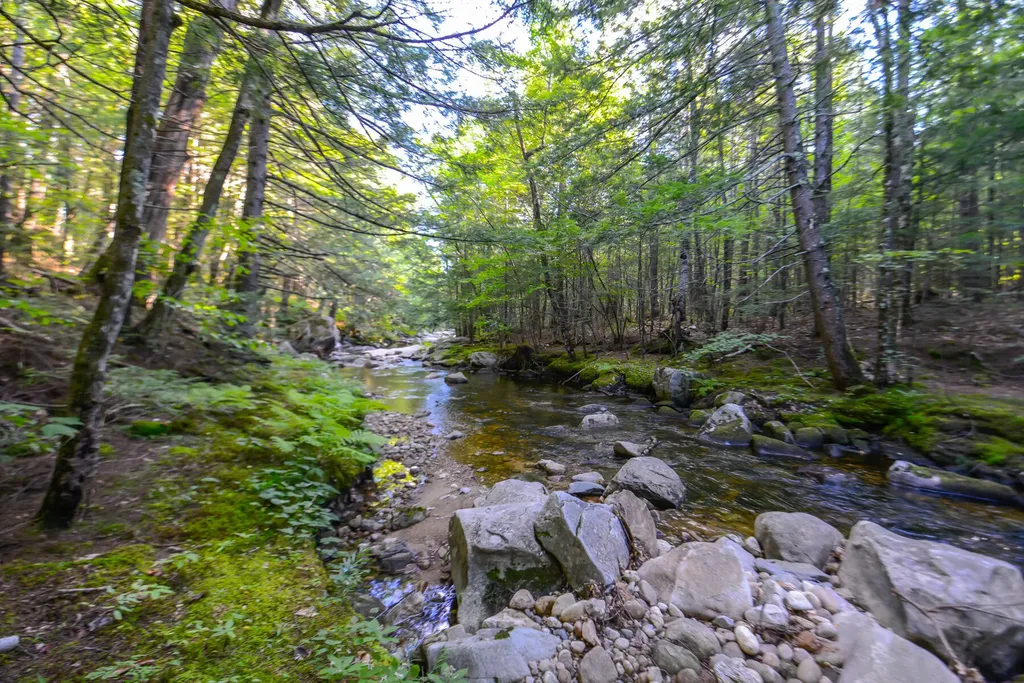 20 Shirley Valley Lane Stoneham ME 04231