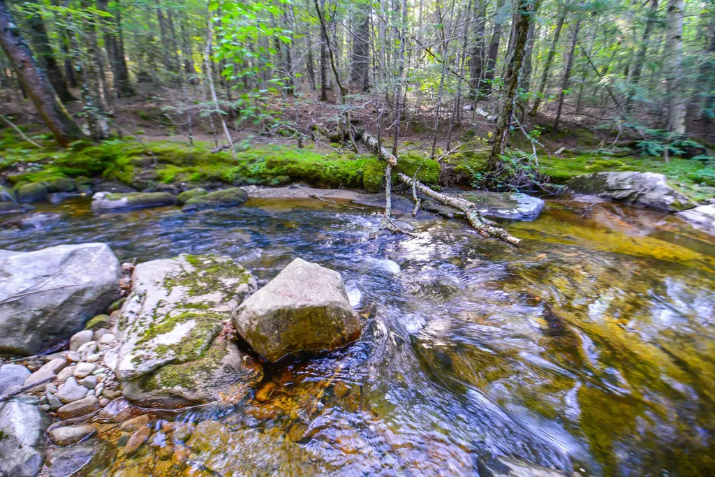 20 Shirley Valley Lane Stoneham ME 04231
