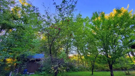 95 Camp Road Wilton ME 04294