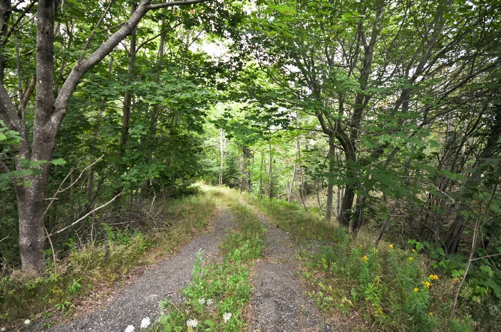 183 Otter Creek Drive Bar Harbor ME 04609