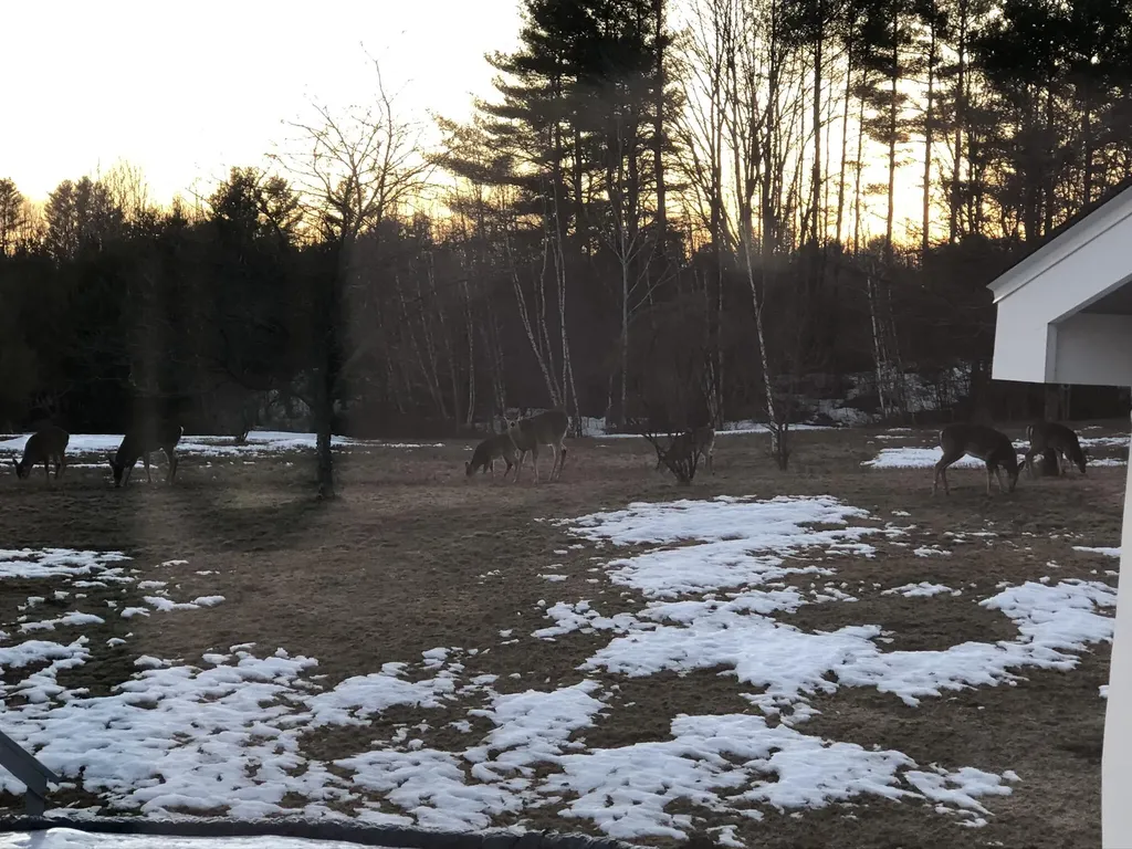 16 Bryant Road Wilton ME 04294