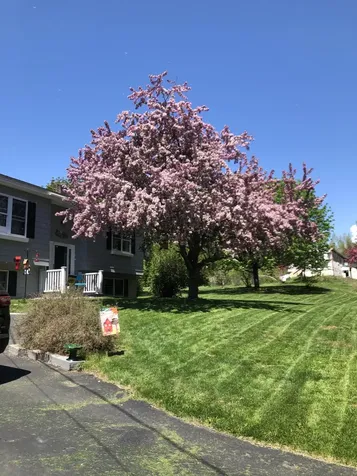 16 Bryant Road Wilton ME 04294
