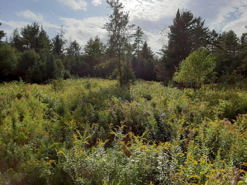188 James Road Cornville ME 04976
