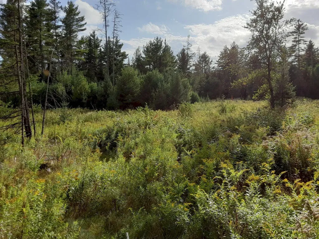 188 James Road Cornville ME 04976