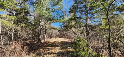 0 Wescogus Road Addison ME 04606
