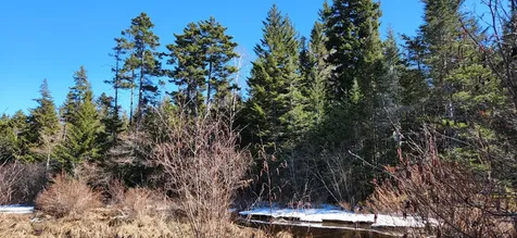 0 Wescogus Road Addison ME 04606