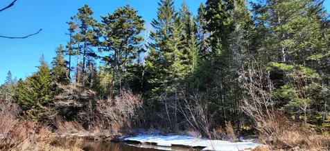 0 Wescogus Road Addison ME 04606