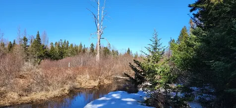 0 Wescogus Road Addison ME 04606