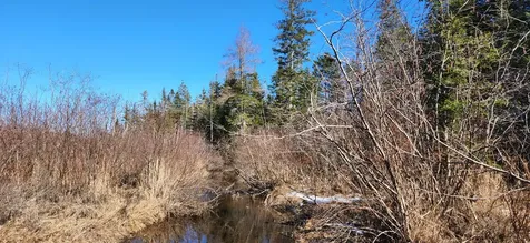 0 Wescogus Road Addison ME 04606