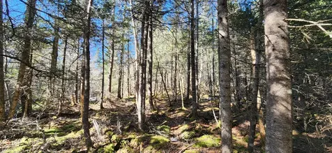 0 Wescogus Road Addison ME 04606