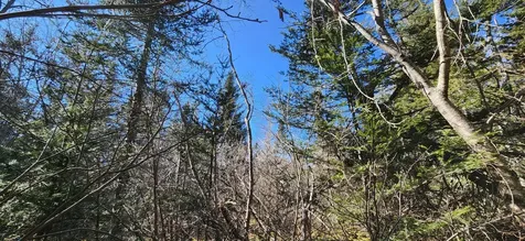 0 Wescogus Road Addison ME 04606