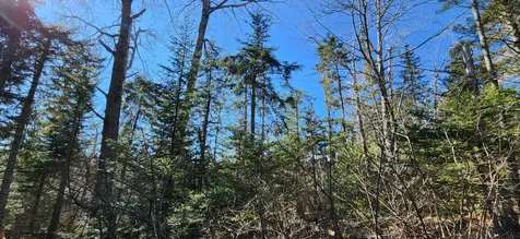 0 Wescogus Road Addison ME 04606