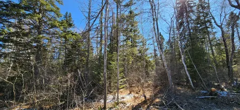 0 Wescogus Road Addison ME 04606