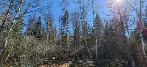0 Wescogus Road Addison ME 04606