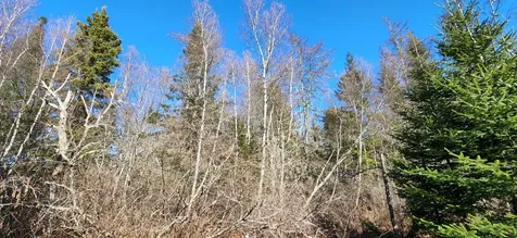 0 Wescogus Road Addison ME 04606