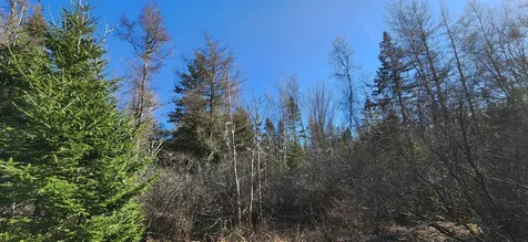 0 Wescogus Road Addison ME 04606