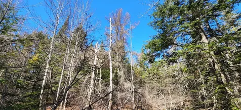 0 Wescogus Road Addison ME 04606