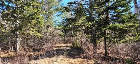 0 Wescogus Road Addison ME 04606