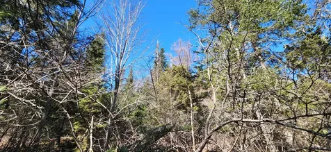 0 Wescogus Road Addison ME 04606