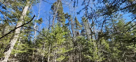 0 Wescogus Road Addison ME 04606