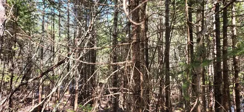 0 Wescogus Road Addison ME 04606