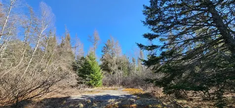 0 Wescogus Road Addison ME 04606