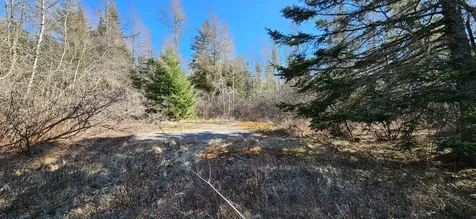 0 Wescogus Road Addison ME 04606