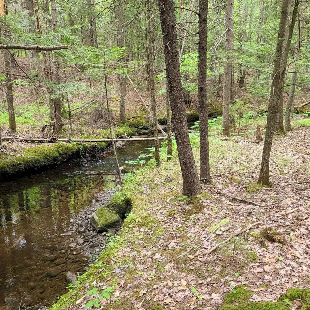 32 Sicotte Road Peru ME 04290