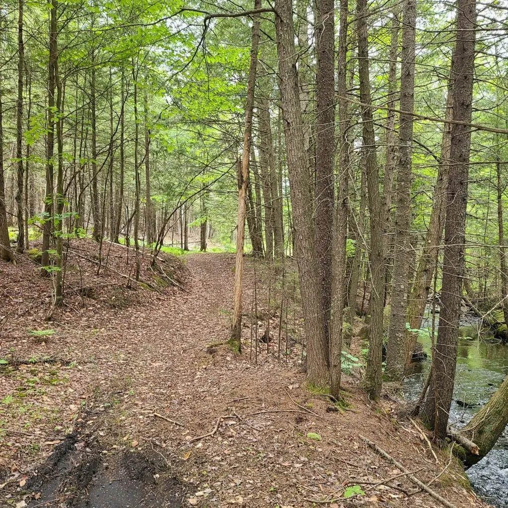 32 Sicotte Road Peru ME 04290