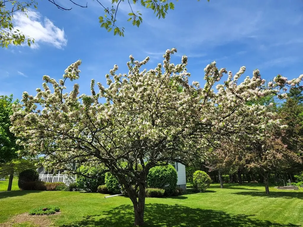 78 Billings Road Hermon ME 04401
