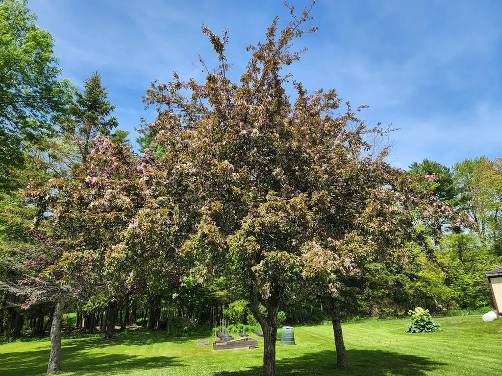 78 Billings Road Hermon ME 04401