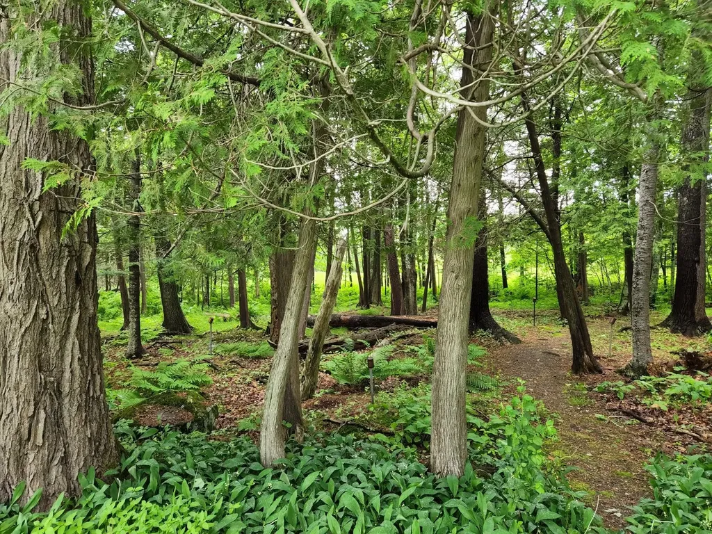 78 Billings Road Hermon ME 04401