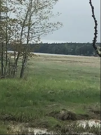 Lot 14 West Bay Road Gouldsboro ME 04607