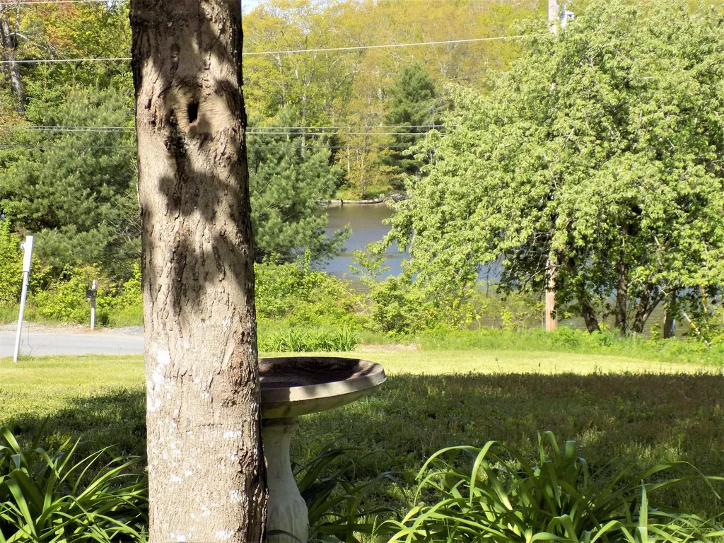 263 Shore Road Ellsworth ME 04605