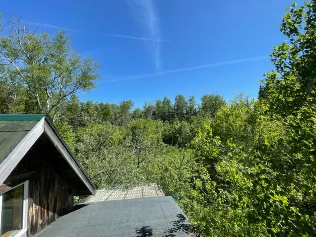 51 Greenhouse Road Trescott Twp ME 04652