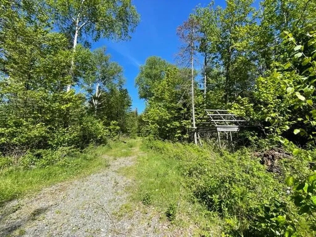 51 Greenhouse Road Trescott Twp ME 04652