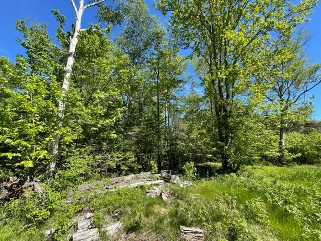 51 Greenhouse Road Trescott Twp ME 04652