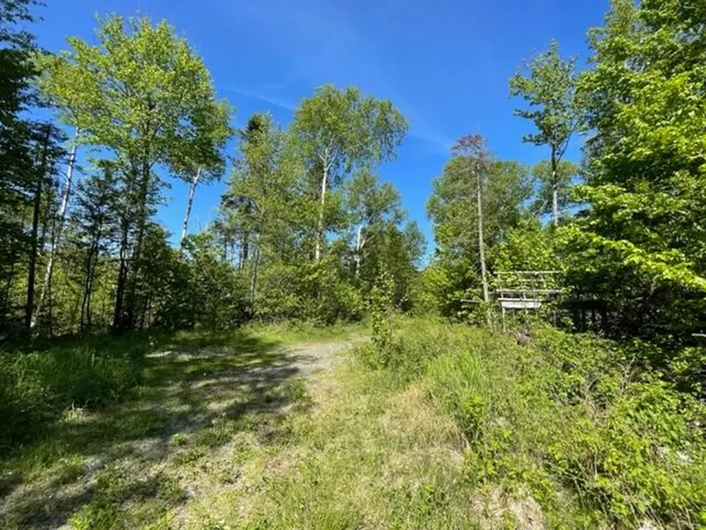51 Greenhouse Road Trescott Twp ME 04652